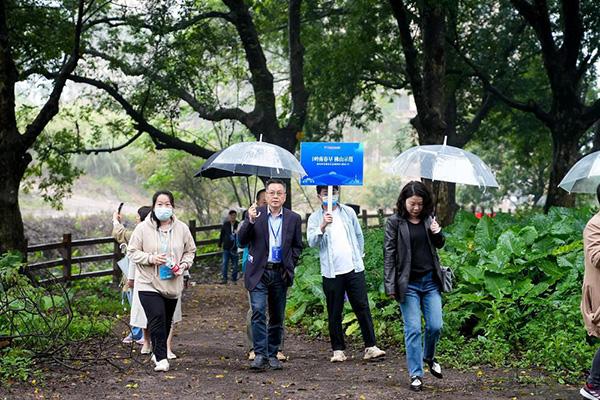 名媒大咖前往“打卡”广东南海大地艺术节