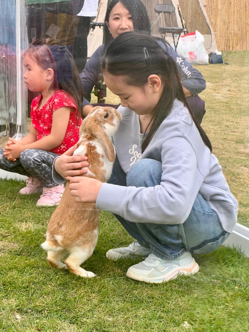 Bunnyland 与兔兔露营