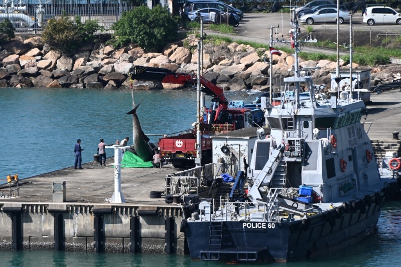 吊臂车在大榄水警基地运走鲸尸，送交渔护署海岸公园管理站解剖